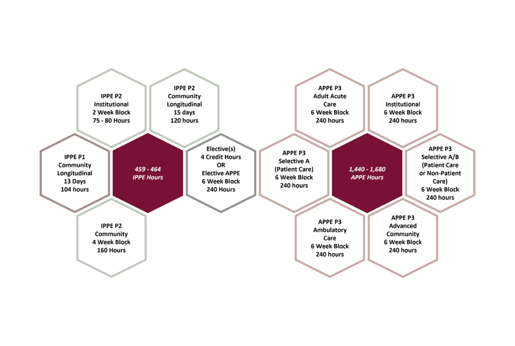 Experiential Education Roseman University
